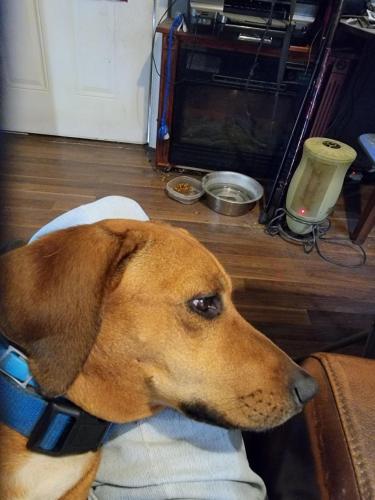 12:13:59 GMT-0600 (CST)