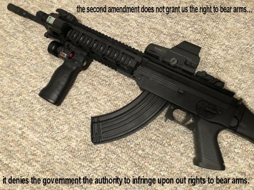 denies the governments authority to infringe
