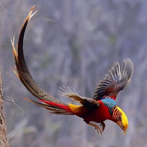 154299558_1806632212836316_3757116617430501720_o