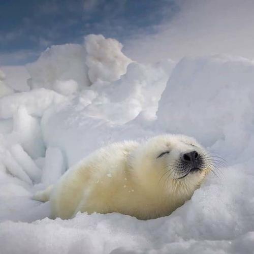 145069234_1789881184511419_4192357187366175783_o