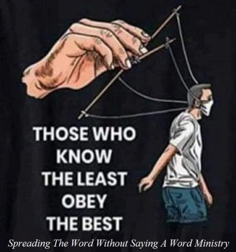 146786431_5036469736425699_794102632304129488_n