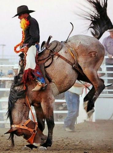 63daea54d47805686c4ff6fa73d0eedc