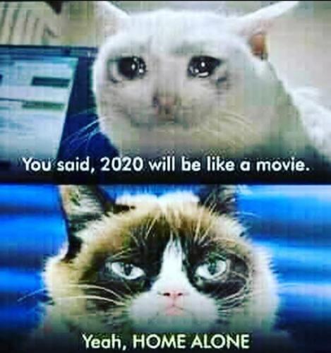 2020 like a movie home alone covid kid friendly