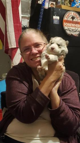 20:43:29 GMT-0500 (EST)