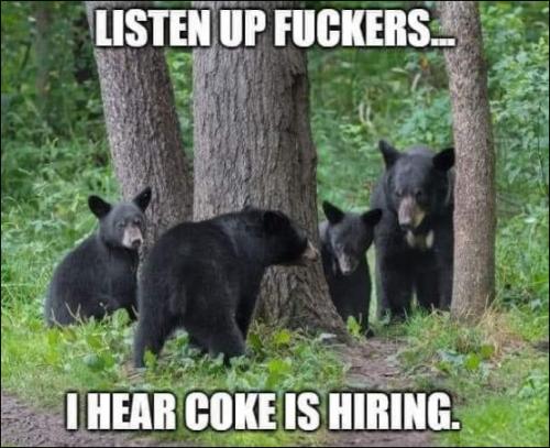 coca-cola14