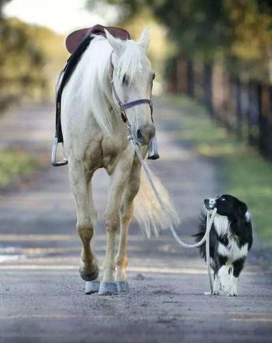 19:55:52 GMT-0600 (CST)