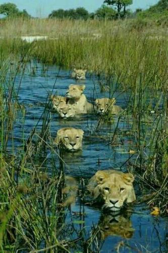 155515994_1521654631367215_3408250436526382420_o