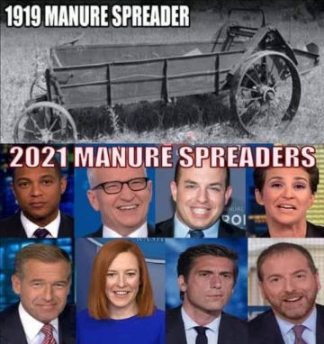 msm113