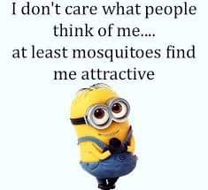 20:33:39 GMT-0500 (EST)