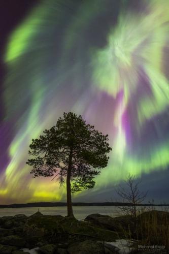 19:24:53 GMT-0600 (CST)