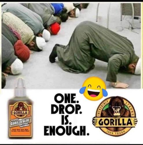 20:12:47 GMT-0600 (CST)