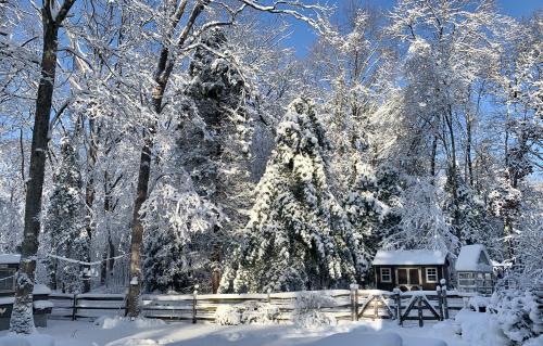 17:18:33 GMT-0500 (EST).image