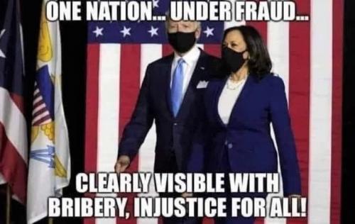 one nation under fraud