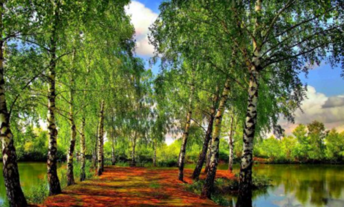 Screenshot 2021-02-02 at 7.49.40 AM