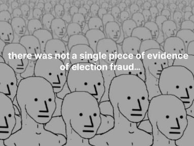 voterfraud135