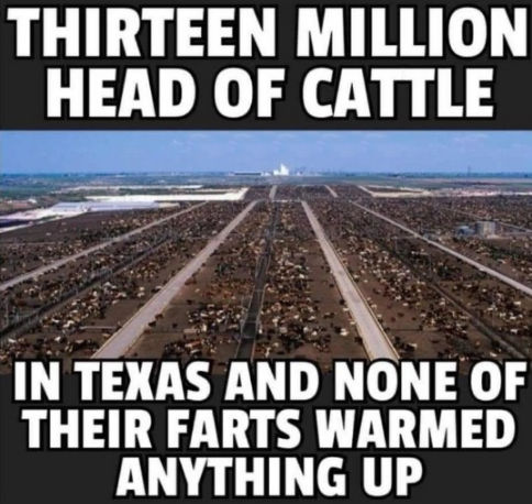 GreenNewDeal32