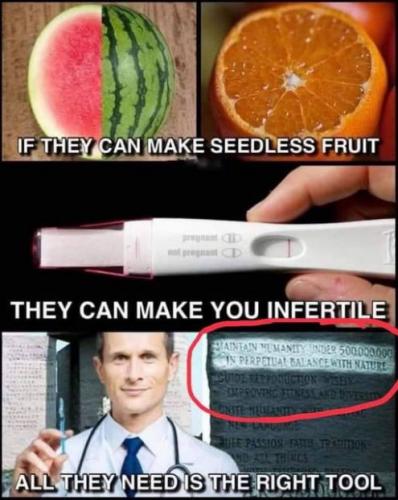 vaccine84