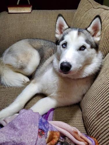 11:18:17 GMT-0500 (EST)