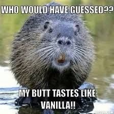 08:48:38 GMT-0700 (MST).image