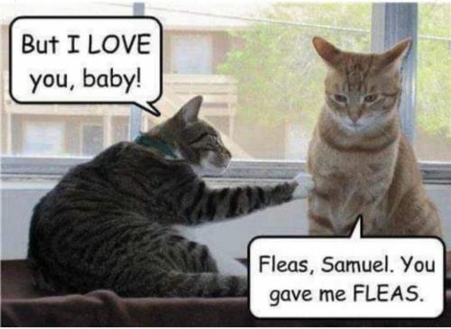 19:45:59 GMT-0500 (EST)