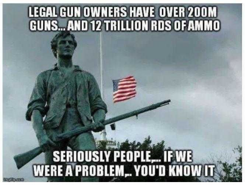 Damn straight.  Btw, we got millions of gun owners here in Texas. We're open carry here. We have castle law and stay on your ground family law