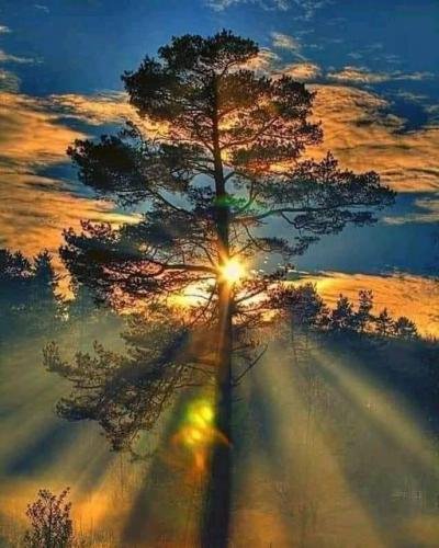 151547324_274221867460170_7942776232967008003_n