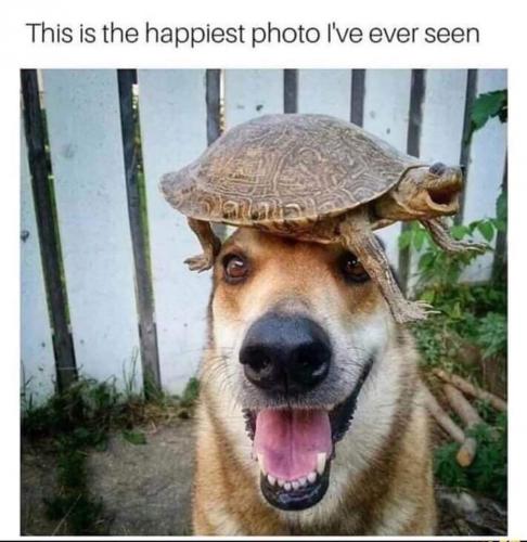 20:15:11 GMT-0600 (CST)