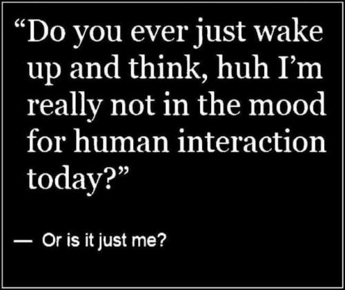 23:50:47 GMT-0800 (PST).image