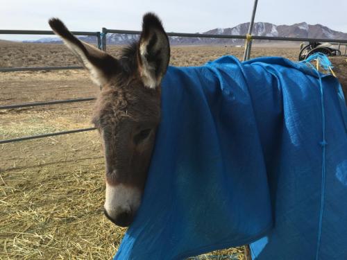 19:56:20 GMT-0800 (PST).image