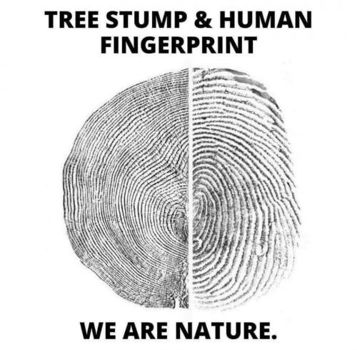 05:27:39 GMT-0500 (EST).image