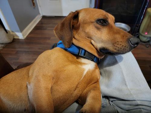 12:13:59 GMT-0600 (CST)