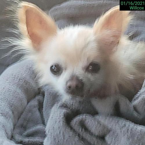 16:43:08 GMT-0600 (CST)