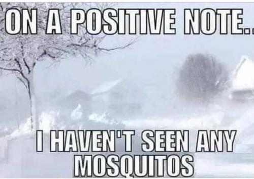 13:19:05 GMT-0600 (CST).image