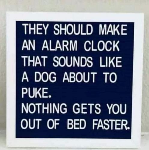 15:02:14 GMT-0500 (EST)