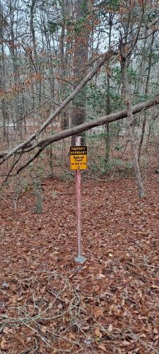 09:43:41 GMT-0500 (EST)