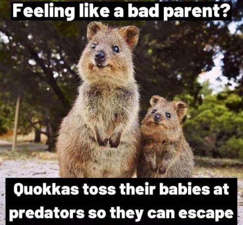 08:23:37 GMT-0600 (CST)