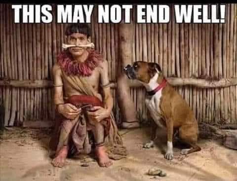 144619700_4057055304327236_395402627607511387_n