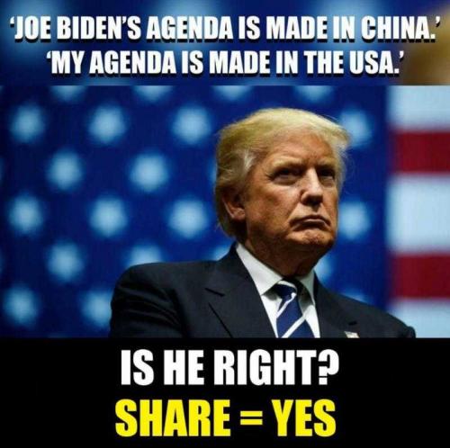 LfcvVtAmynKEFECT3IBI_20_f92a03da1971fe667f4e7beaafc8a1ea_image_original