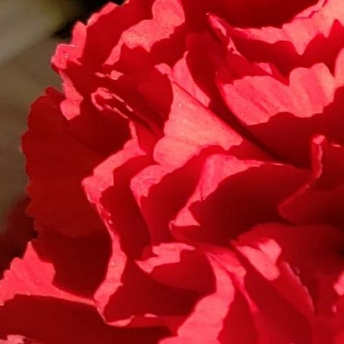 10:55:17 GMT-0500 (EST)