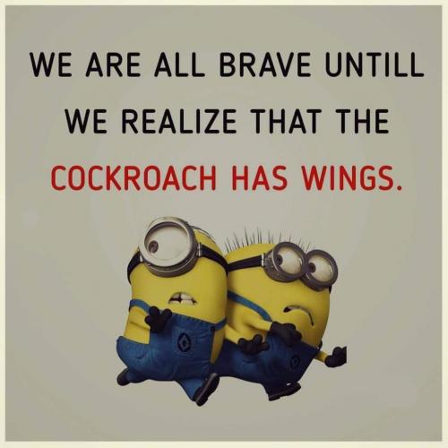 14:27:25 GMT-0500 (EST)