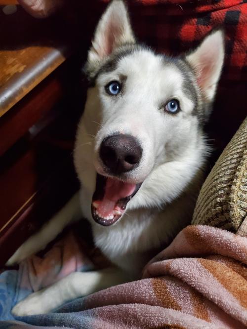 09:09:45 GMT-0500 (EST)