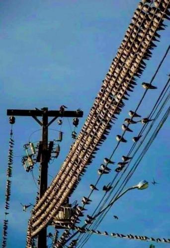 19:47:04 GMT-0500 (EST)