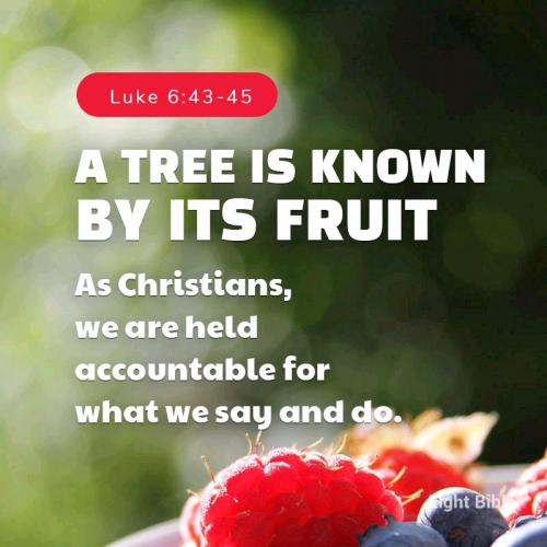 07:54:41 GMT-0500 (EST).*