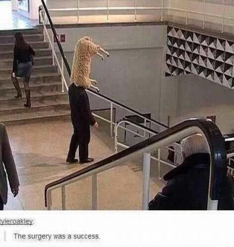 12:31:03 GMT-0600 (CST)