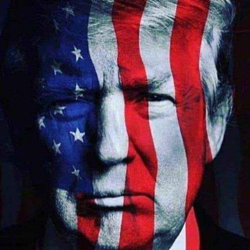 9TBNSz8c2d5HgpPKtYas_20_94de06f74be98622d0863b345beb3319_image_original