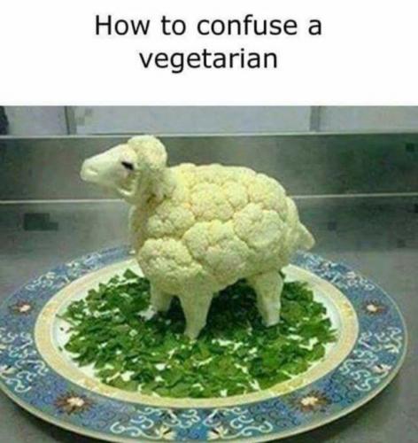 Vegan