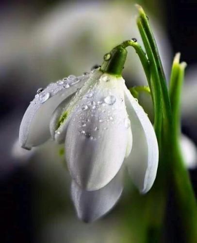 00:47:40 GMT-0600 (CST)