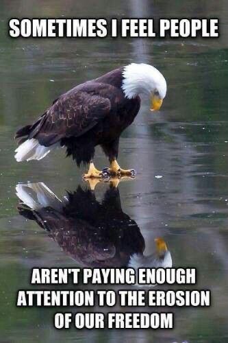 15:12:17 GMT-0700 (MST).image