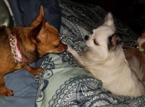 05:48:57 GMT-0500 (EST)