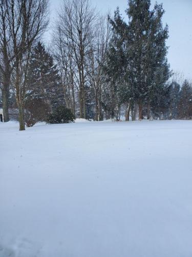 08:40:46 GMT-0500 (EST)